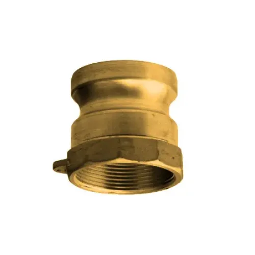 Žalvarinė Camlock A tipo vidinio 2" BSP sriegio jungtis