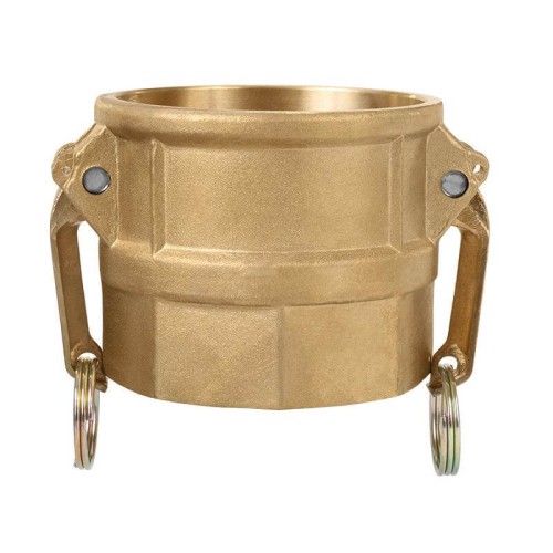 Žalvarinė Camlock D tipo vidinio 2" BSP sriegio jungtis