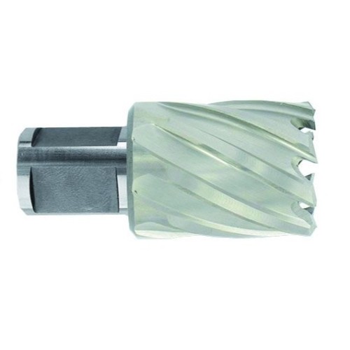 Metalo gręžimo freza 17x60x30mm,HSS,tvirtinimas 19mm